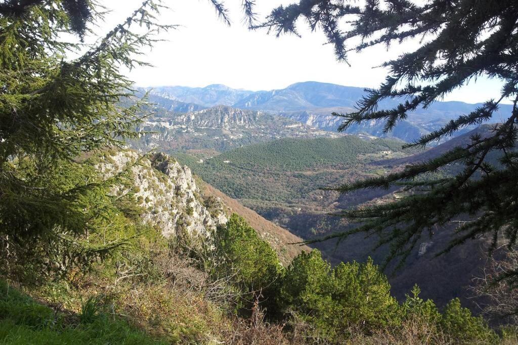 Joli Studio Entre Mer Et Montagne Proche De Nice Bouyon Экстерьер фото